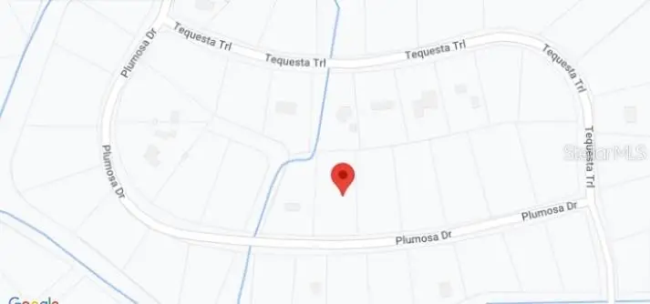 224 Plumosa Drive, Georgetown, FL 32139 - Image #3