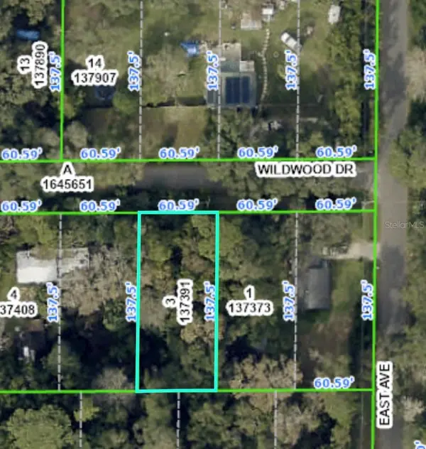 20128 Wildwood Drive, BROOKSVILLE, FL 34601