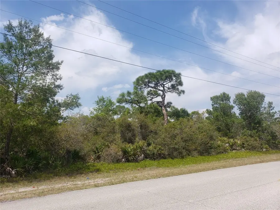 346 Hallmark Avenue, Lake Placid, FL 33852 - Image #3