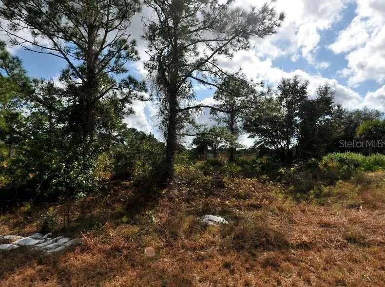 Winterville Circle, North Port, FL 34288 - Image #2