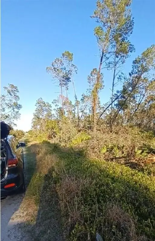 461 Nightingale Avenue, Sebring, FL 33872 - Image #2