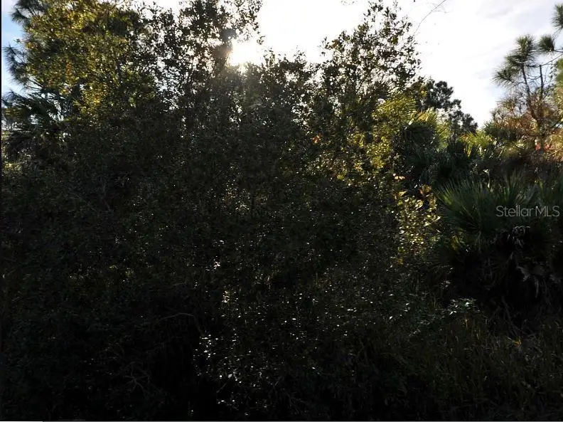 Chinabox Street, North Port, FL 34288 - Image #2