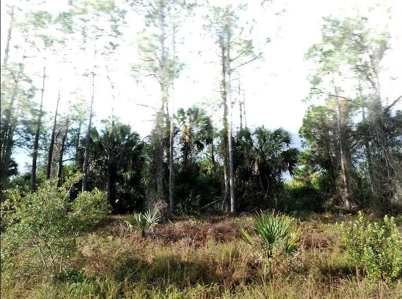 Hampshire Circle, North Port, FL 34288 - Image #2