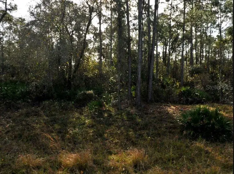 Lestock Avenue, North Port, FL 34288 - Image #2