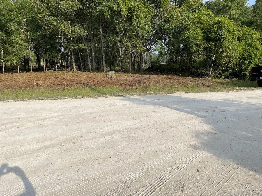 7123 Glenchester Drive, Webster, FL 33597 - Image #2