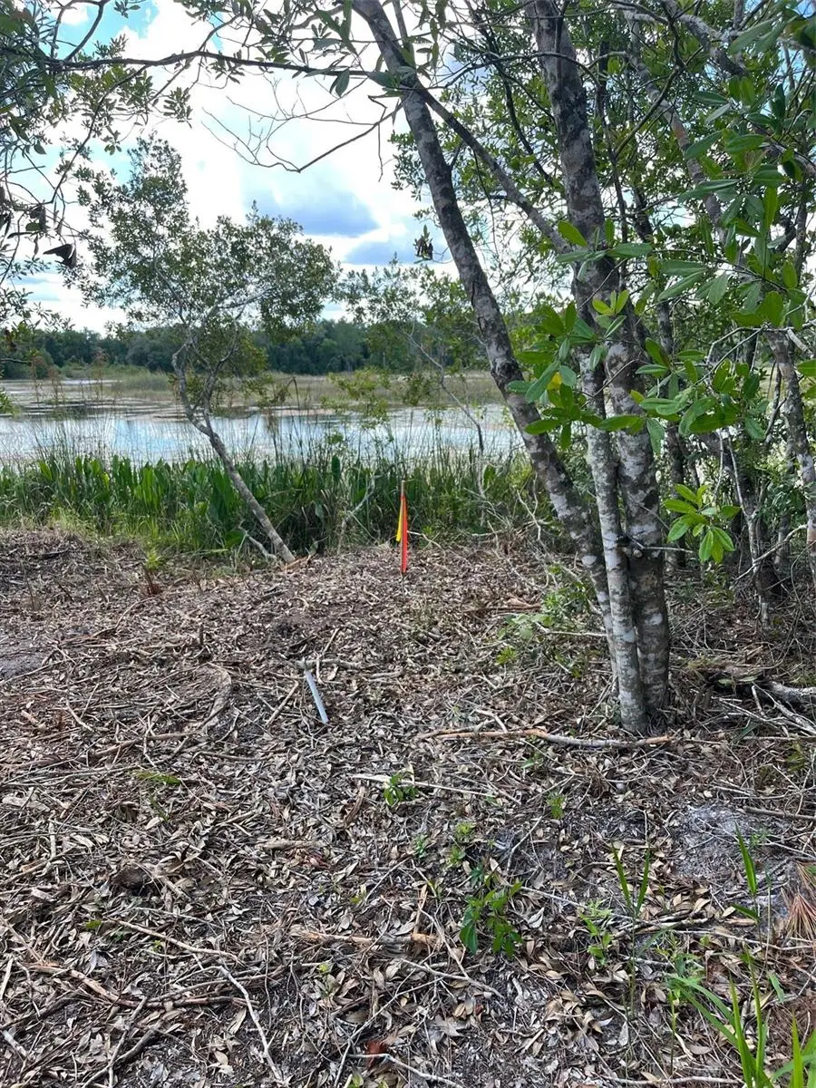 7123 Glenchester Drive, Webster, FL 33597 - Image #3