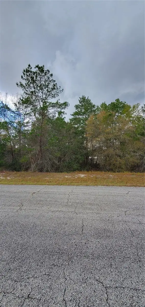 1428 Hillsborough Drive, Poinciana, FL 34759 - Image #1