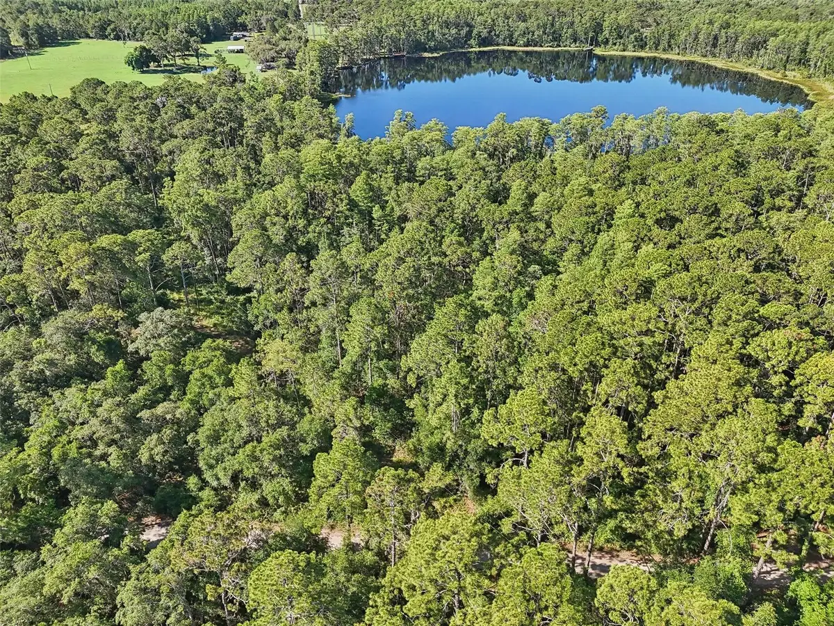 Edgehill Drive, Groveland, FL 34736 - Image #1