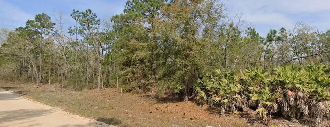 Union Avenue, Interlachen, FL 32148 - #1