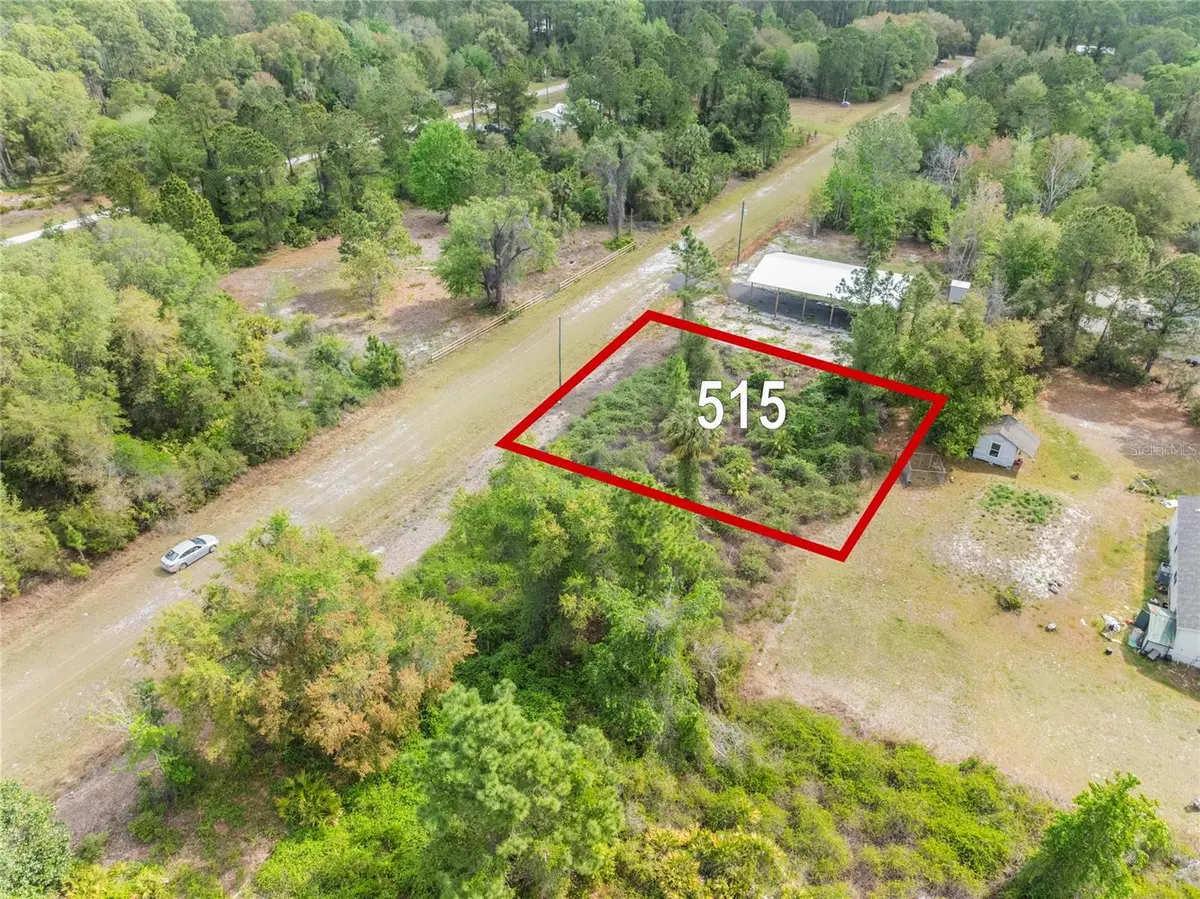 515 Gardenia Avenue, Georgetown, FL 32139 - Image #1