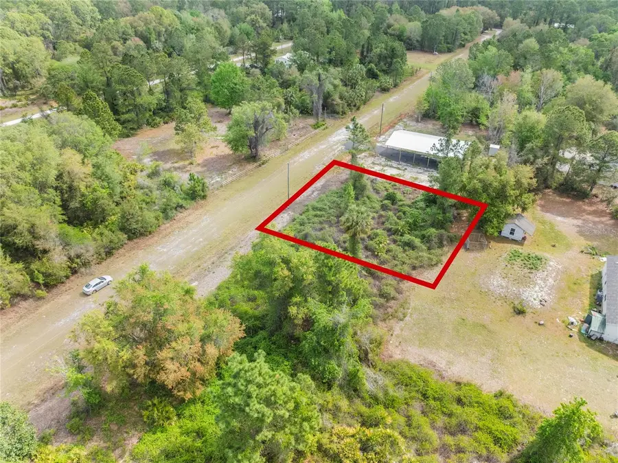 515 Gardenia Avenue, Georgetown, FL 32139 - Image #2