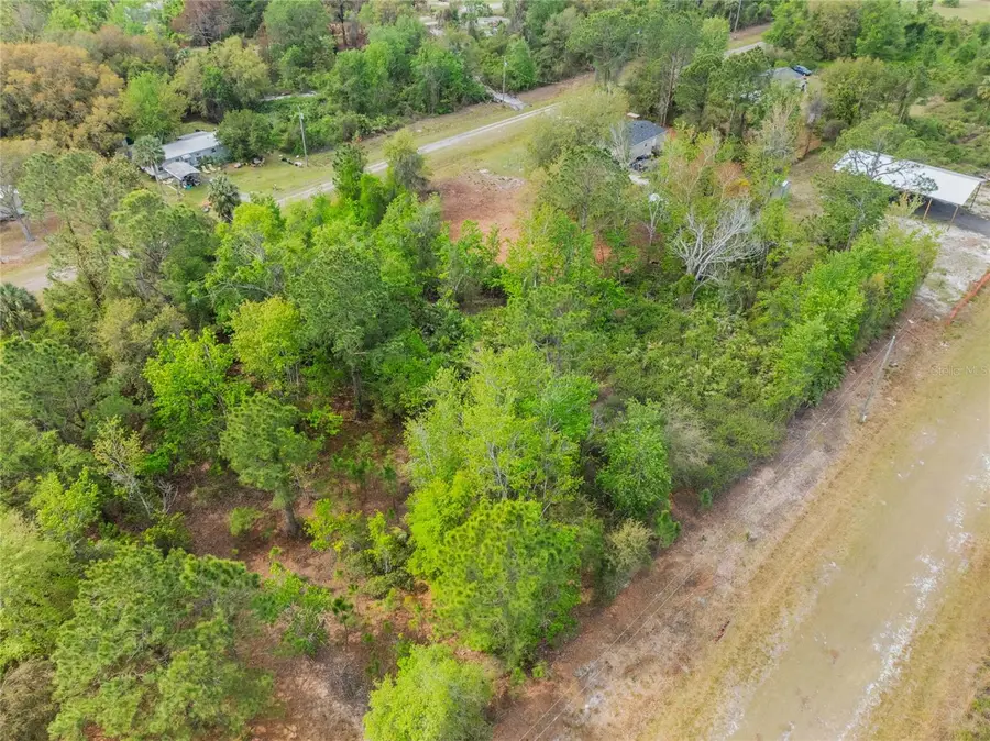 515 Gardenia Avenue, Georgetown, FL 32139 - Image #3