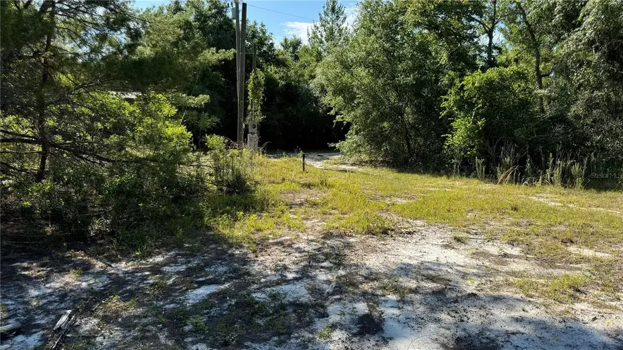 8045 NE 307th Avenue, East Marion, FL 32134 - Image #3