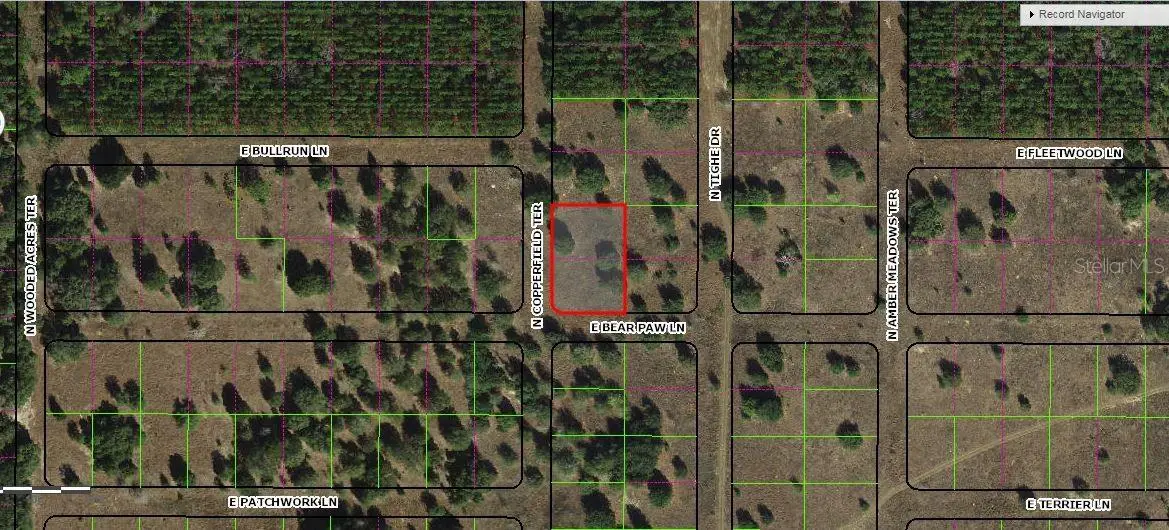 229 N Copperfield Terrace, Inverness, FL 34453 - Image #1