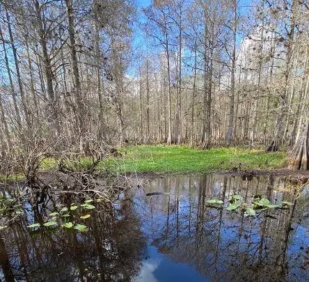 N/a, Lake Wales, FL 33898 - Image #2