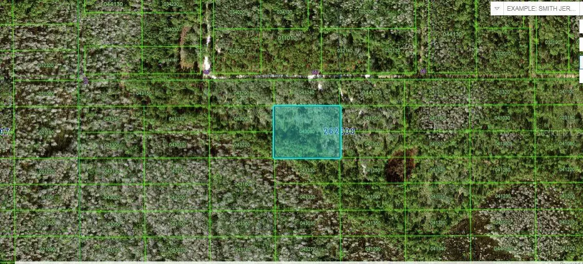 N/a, Polk City, FL 33868 - Image #1
