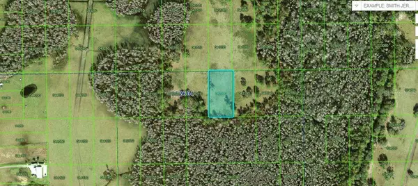 Commonwealth Avenue N, POLK CITY, FL 33868