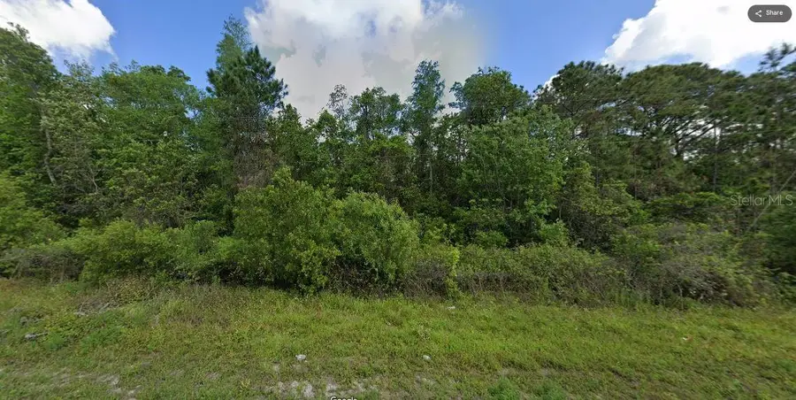 Deen Still Road, Polk City, FL 33868 - Image #2