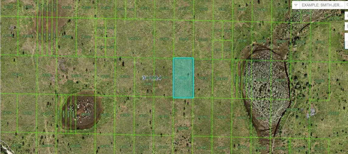 Highway 630 E, Frostproof, FL 33843 - Image #1