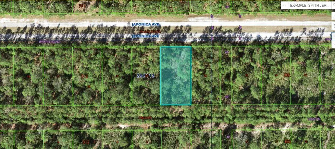 1103 Japonica Avenue, Indian Lake Estates, FL 33855 - #1