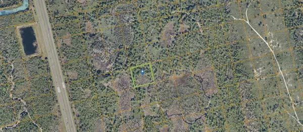 County Line Ditch Rd, OAK HILL,, FL 32759