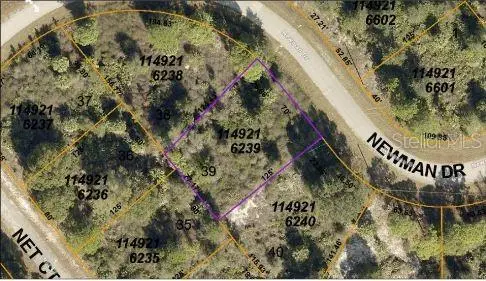 Newman Drive, North Port, FL 34288 - Image #3