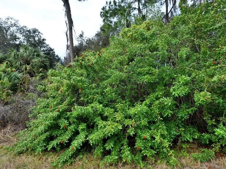 Kamain Road, North Port, FL 34288 - Image #2