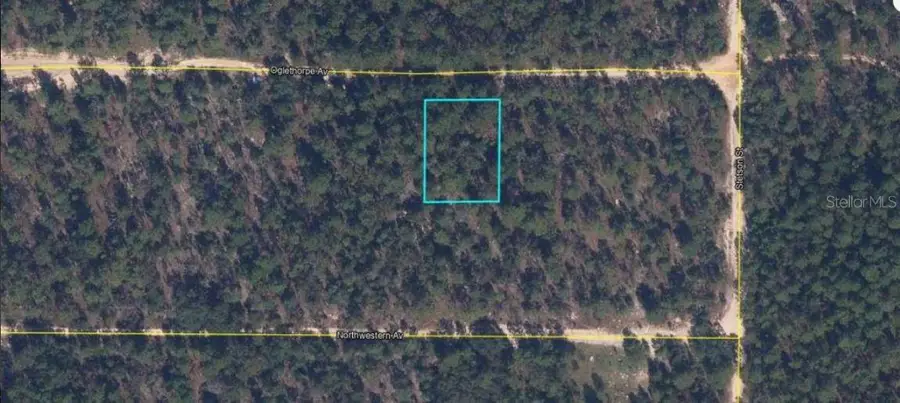 6213 Olgethorpe Avenue, Keystone Heights, FL 32656 - Image #2