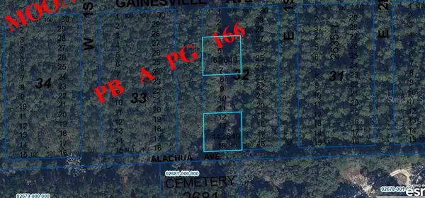 Gainesville Ave, NEWBERRY, FL 32669