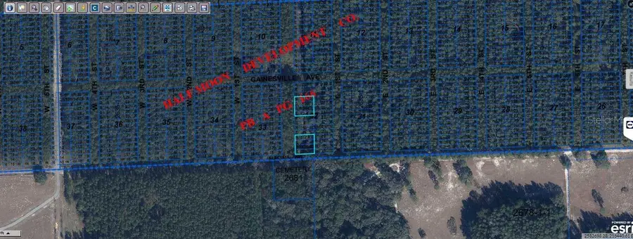 Gainesville Ave, Newberry, FL 32669 - Image #2