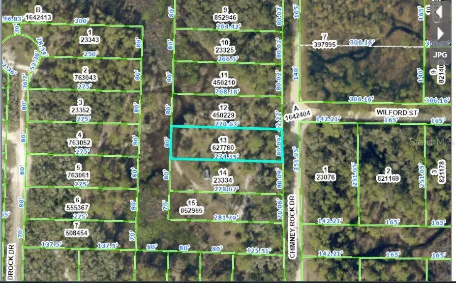 Chimney Rock Drive, Webster, FL 33597 - Image #1