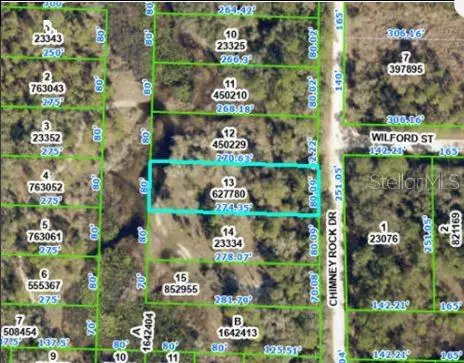 Chimney Rock Drive, Webster, FL 33597 - Image #2