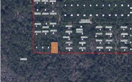 Paradise Lakes Avenue, Georgetown, FL 32139 - Image #3