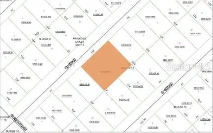 209 SE Paradise Lakes, Georgetown, FL 32139 - Image #3