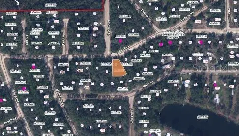 Riley Dr, Interlachen, FL 32148 - #3