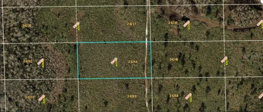 Dill Road, Orlando, FL 32820 - Image #2