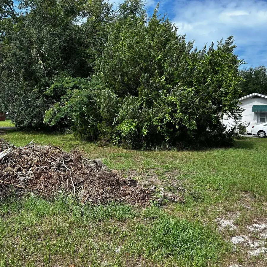 0 SE 195th Place, Dunnellon, FL 34431 - Image #3