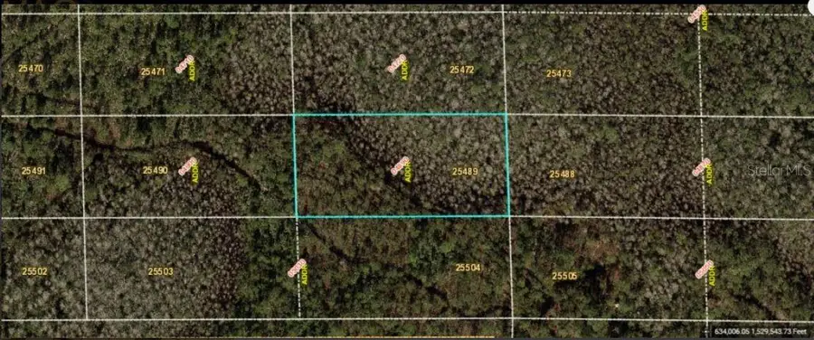 Dill Road, Orlando, FL 32820 - Image #2