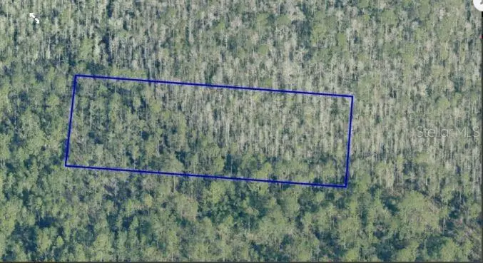 Dill Road, Orlando, FL 32820 - Image #3