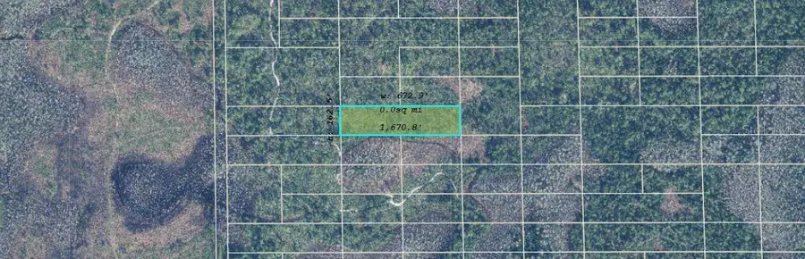 Dill Road, Orlando, FL 32820 - Image #2