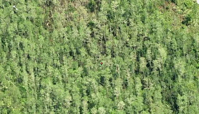 Dill Road, Orlando, FL 32820 - Image #3