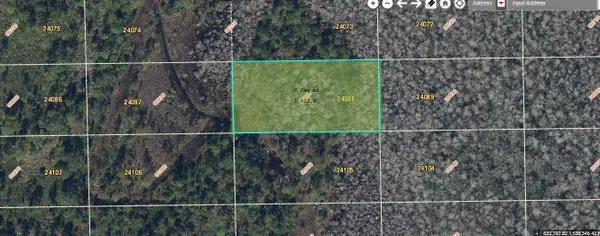 Dill Road, ORLANDO, FL 32820