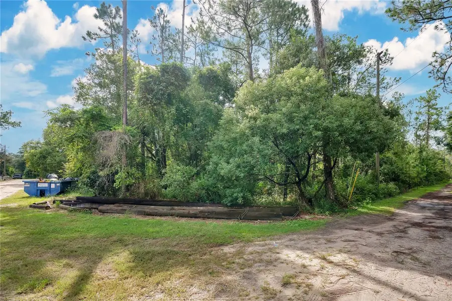 Farmingdale Road, Clermont, FL 34714 - Image #3