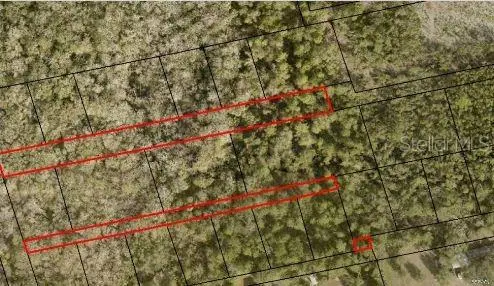 2313 Us Highway 1, Mims, FL 32754 - Image #3