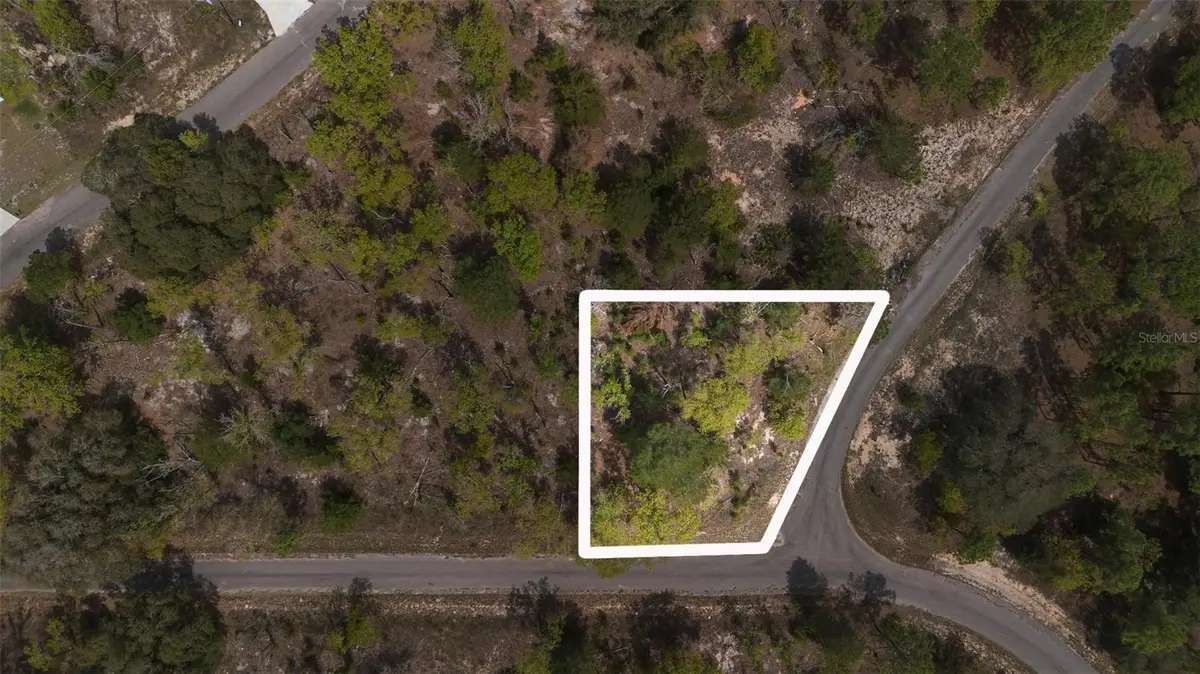 Guava Pass Way, Ocklawaha, FL 32179 - Image #1