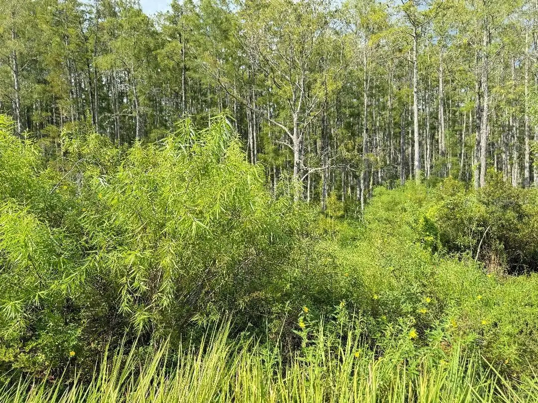 Old Polk City Road, Haines City, FL 33844 - Image #1