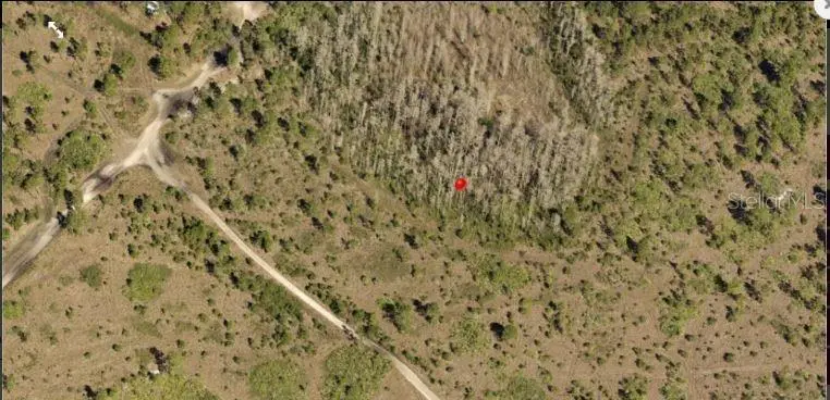 Holopaw Groves Road, Saint Cloud, FL 34773 - Image #2