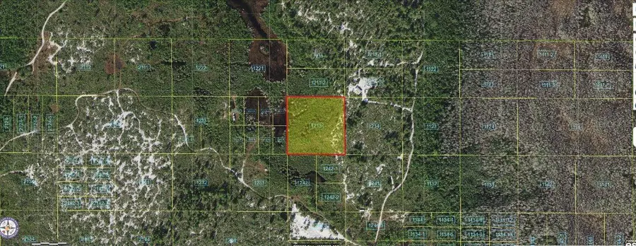 Holopaw Groves Road, Saint Cloud, FL 34773 - Image #2
