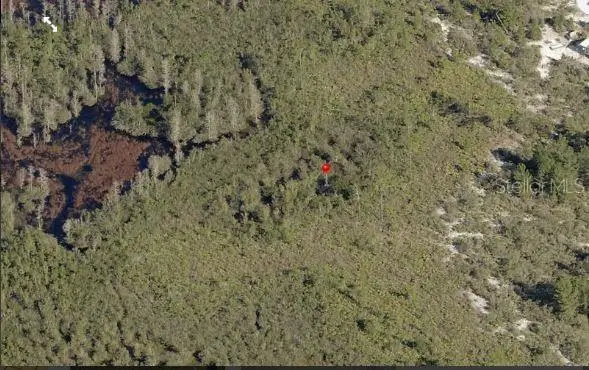 Holopaw Groves Road, Saint Cloud, FL 34773 - Image #3