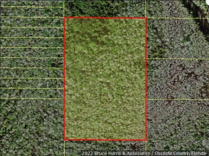 Holopaw Groves Road, Saint Cloud, FL 34773 - Image #2